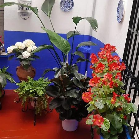 Puerta Sevilla Parking Gratis Apartmán