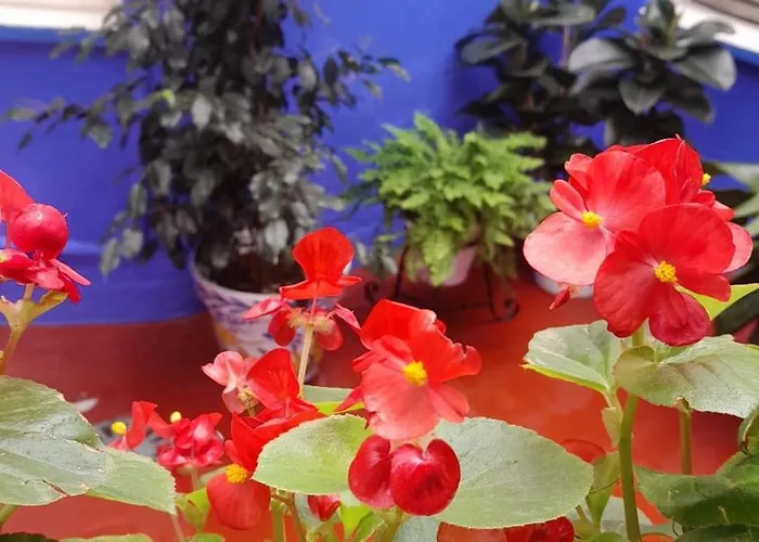 Apartment Puerta Sevilla Parking Gratis Cordoba