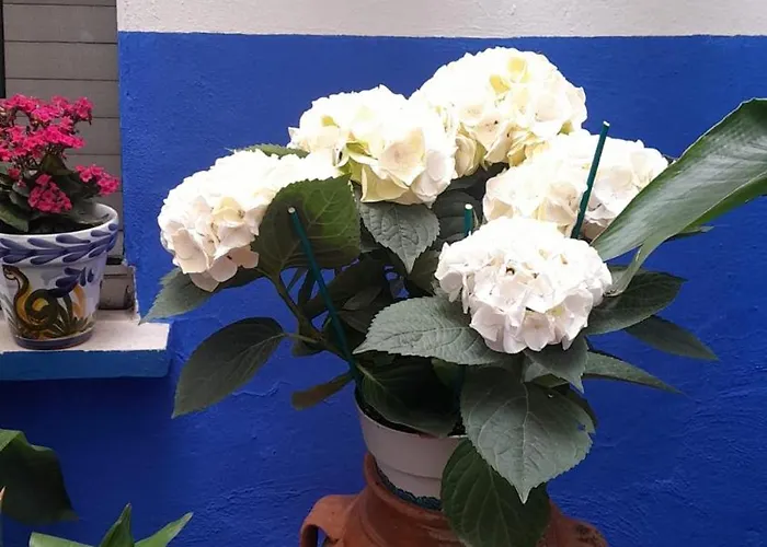 Puerta Sevilla Parking Gratis Cordoba