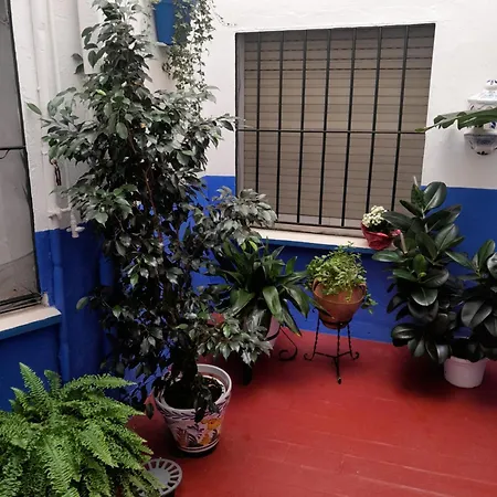 Puerta Sevilla Parking Gratis Apartment