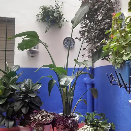 Puerta Sevilla Parking Gratis Apartment