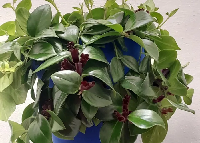 Puerta Sevilla Parking Gratis * Córdoba