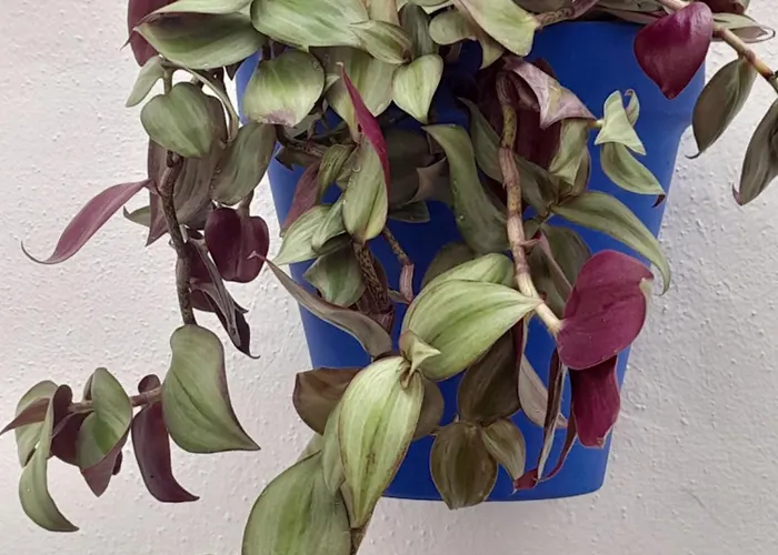 Puerta Sevilla Parking Gratis *