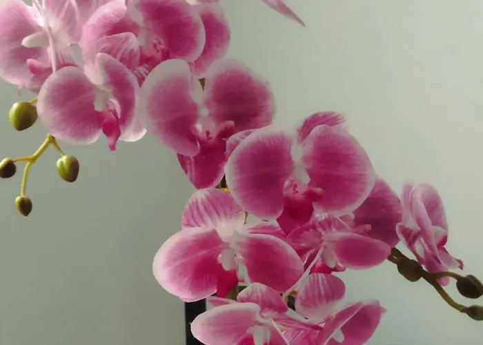 Puerta Sevilla Parking Gratis Córdoba