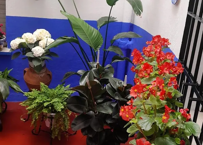 Puerta Sevilla Parking Gratis Apartment