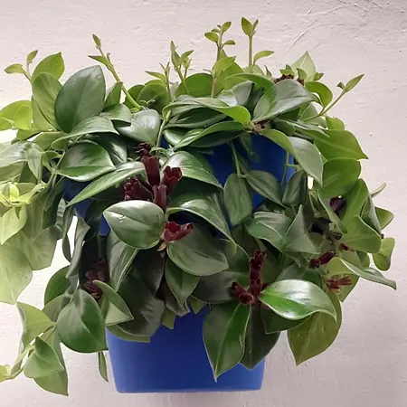 Puerta Sevilla Parking Gratis * Córdoba