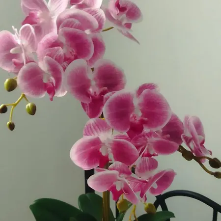 Puerta Sevilla Parking Gratis Córdoba