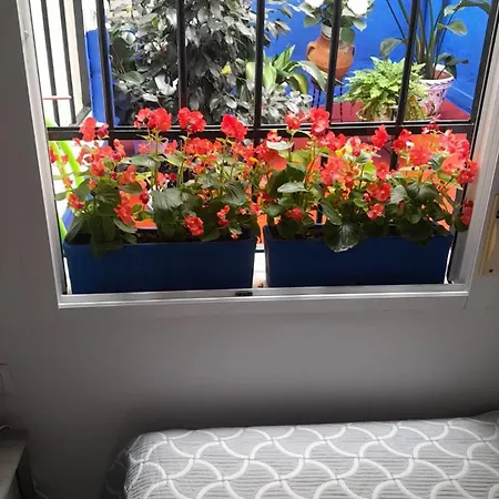 Puerta Sevilla Parking Gratis