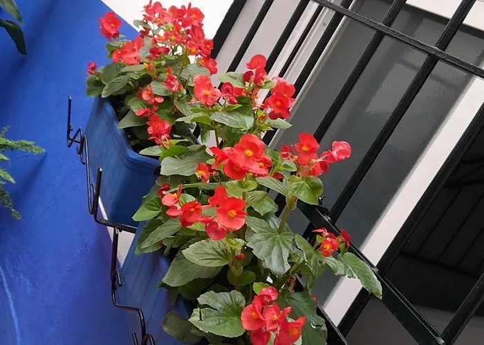 Puerta Sevilla Parking Gratis Апартаменти Кордова