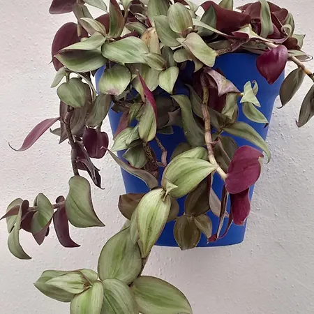 Puerta Sevilla Parking Gratis *