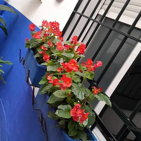 Puerta Sevilla Parking Gratis Apartamento Córdoba