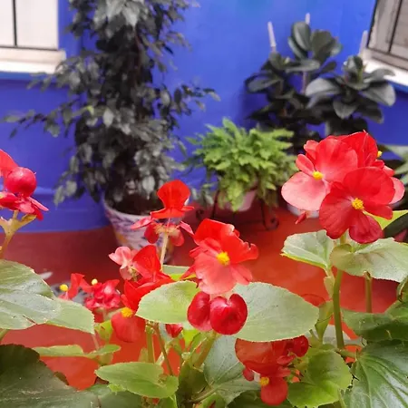 Apartamento Puerta Sevilla Parking Gratis Córdoba