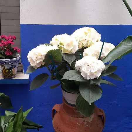 Puerta Sevilla Parking Gratis Córdoba